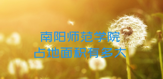ʦѧԺռж󣿶Ķ