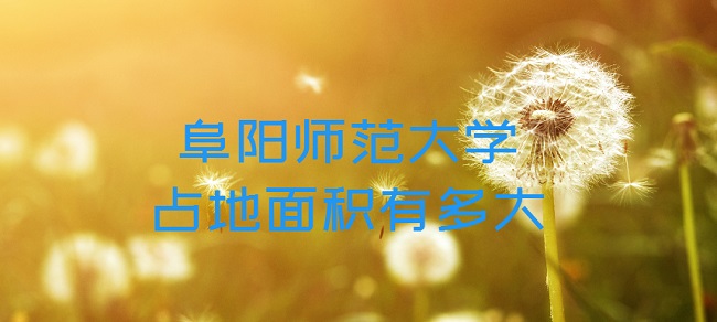 ʦѧռжжĶ