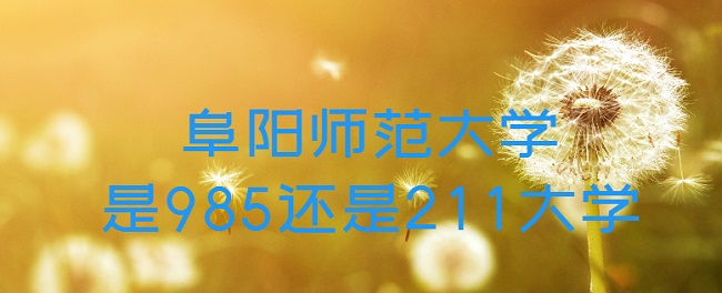 ʦѧ985211ѧʡ985/211ԺУ
