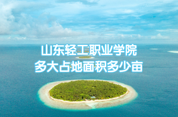 ɽṤְҵѧԺռĶ