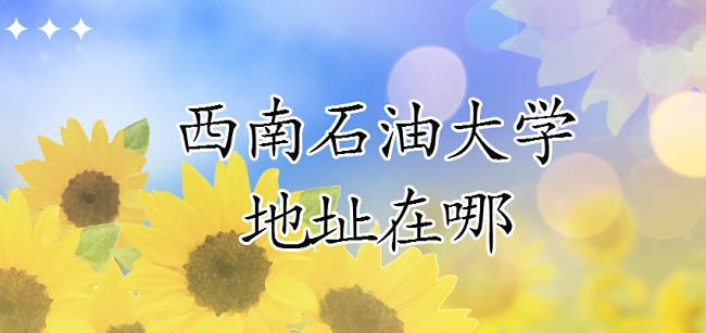 ʯʹѧַģĸʡĸУĸ