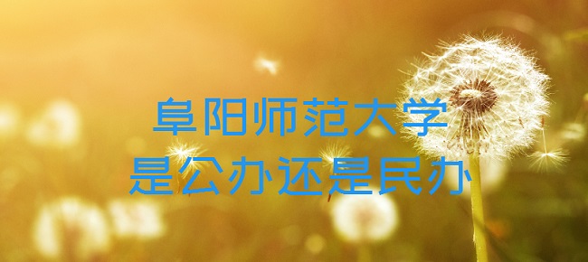 ʦѧǹ컹ѧרҵշѱ׼