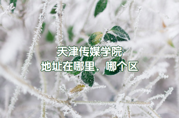 ýѧԺַĸ