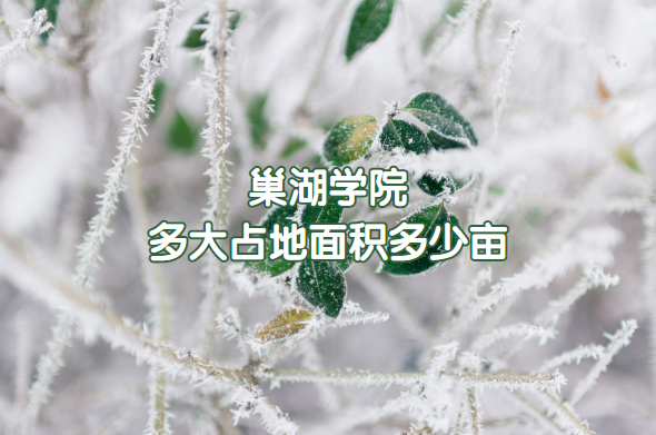 ѧԺռĶ