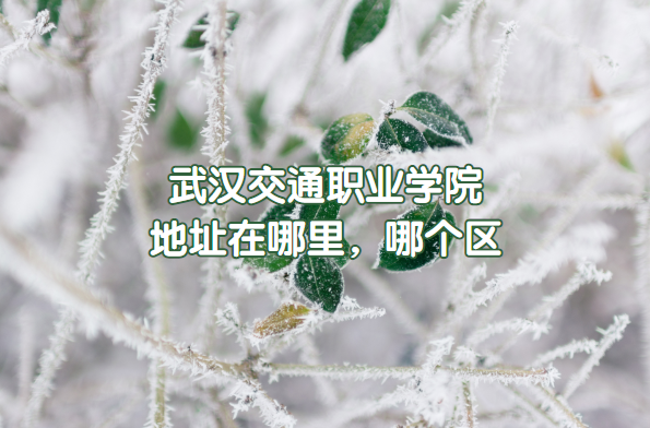 人ְͨҵѧԺַĸ