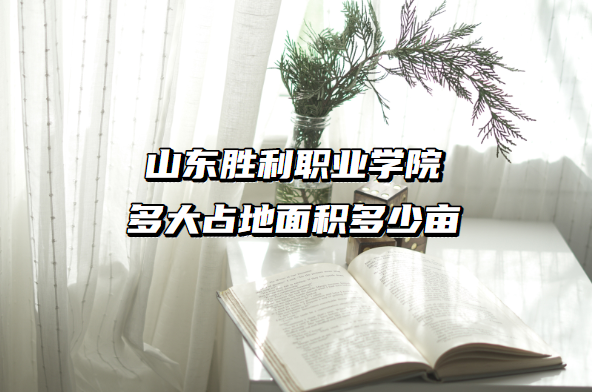 ɽʤְҵѧԺĸУĸ