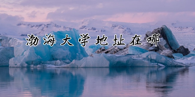 ѧַģĸʡĸУĸ