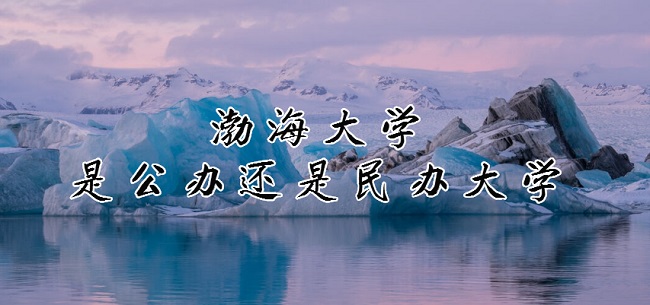 ѧǹ컹ѧרҵշѱ׼