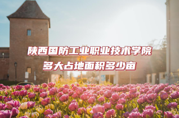 ҵְҵѧԺռĶ
