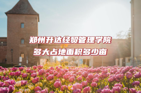 ֣ﾭóѧԺռĶ