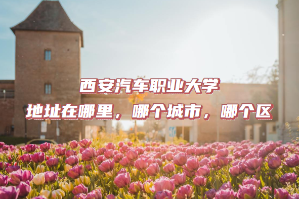 ְҵѧַĸУĸ