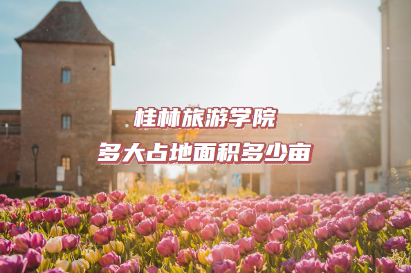 ѧԺռĶ