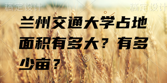 ݽͨѧռжжĶ