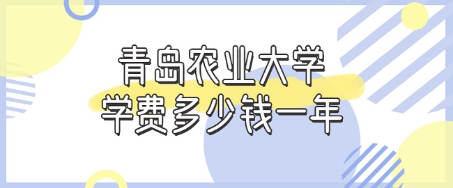 2023ൺũҵѧѧѶǮһꣿרҵշѱ׼