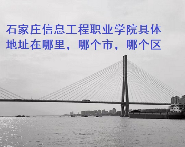ʯׯϢְҵѧԺַĸУĸ