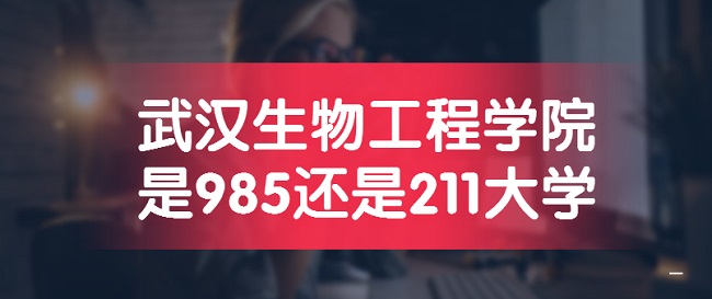 人﹤ѧԺ985211ѧ