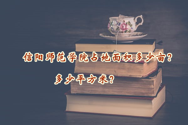 ʦѧԺռĶƽף