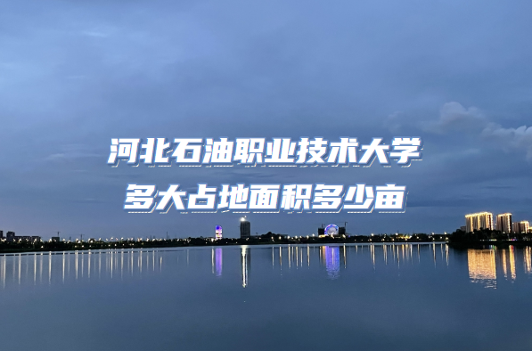 ӱʯְҵѧռĶ