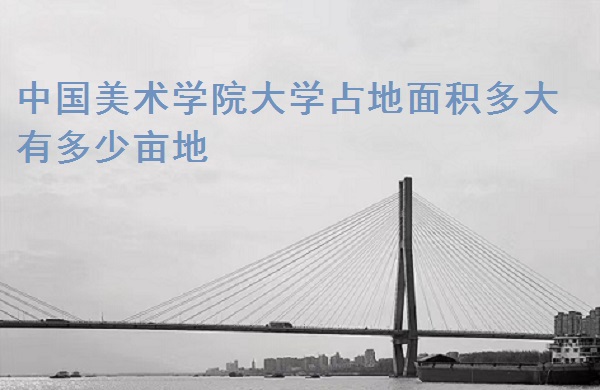 1665546192512767.jpg 中国美术学院大学占地面积多大 有多少亩地?