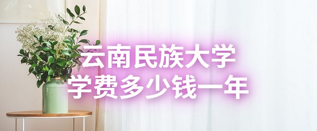 2023ѧѧѶǮһꣿרҵշѱ׼