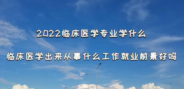 2023ٴҽѧרҵѧʲô ٴҽѧʲôҵǰ