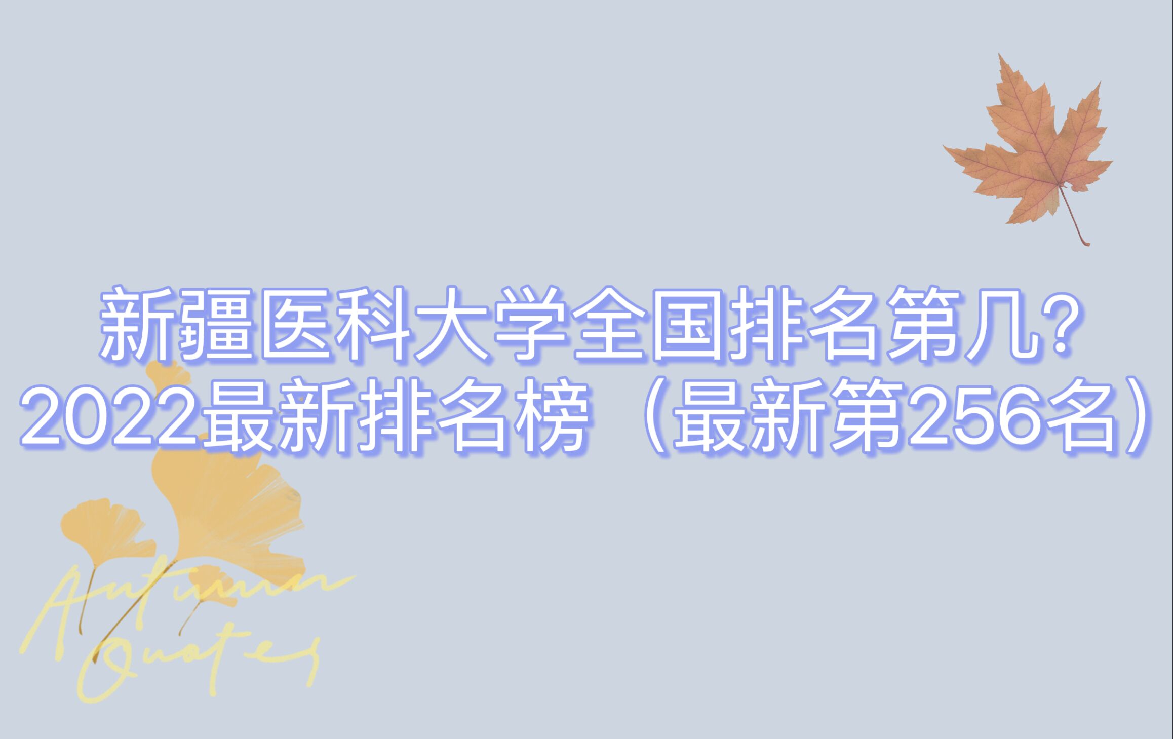½ҽƴѧȫڼ2023µ256