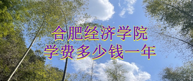2023ϷʾѧԺѧѶǮһꣿרҵշѱ׼