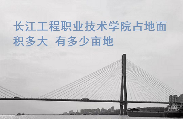 ��������ְҵ����ѧԺռ�������� �ж���Ķ�أ�