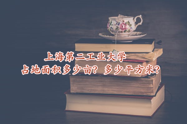 ϺڶҵѧռĶƽף
