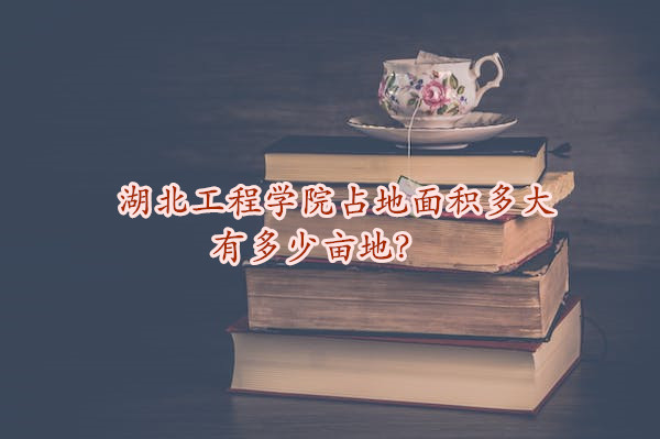 ѧԺռ жĶأ