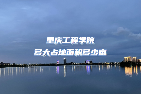 칤ѧԺռĶ