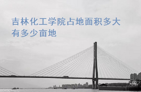 ���ֻ���ѧԺռ�������� �ж���Ķ�أ�