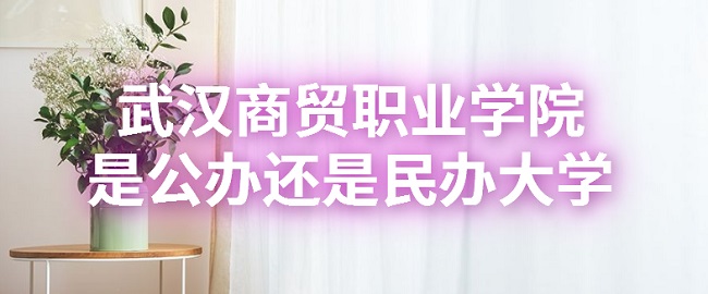 1665991603192591.jpg 武汉商贸职业学院是公办还是民办大学?(附各专业收费标准)