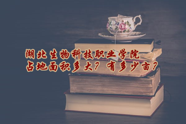 ƼְҵѧԺռжĶ