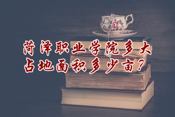 ����ְҵѧԺ���ռ���������Ķ��