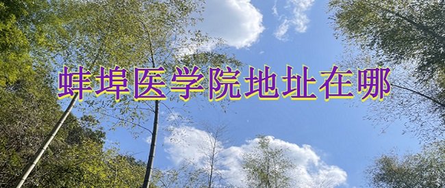 1666244706576476.jpg 蚌埠医学院地址在哪?哪个省?哪个城市?哪个区?