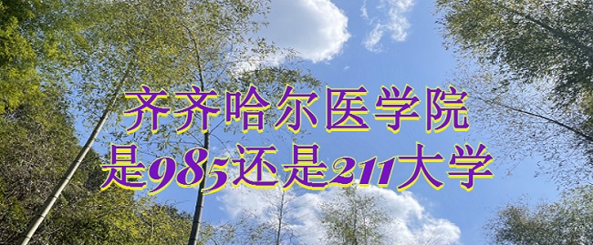 ҽѧԺ985211ѧʡ985/211ԺУ