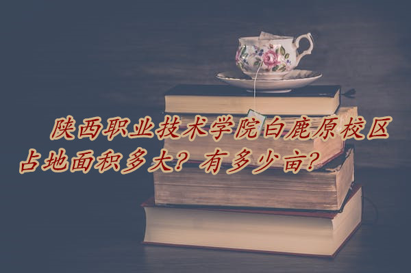 ְҵѧԺ¹ԭУռжĶ