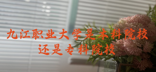 �Ž�ְҵ��ѧ�Ǳ���ԺУ����ר��ԺУ��