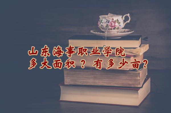 ɽְҵѧԺ жĶ