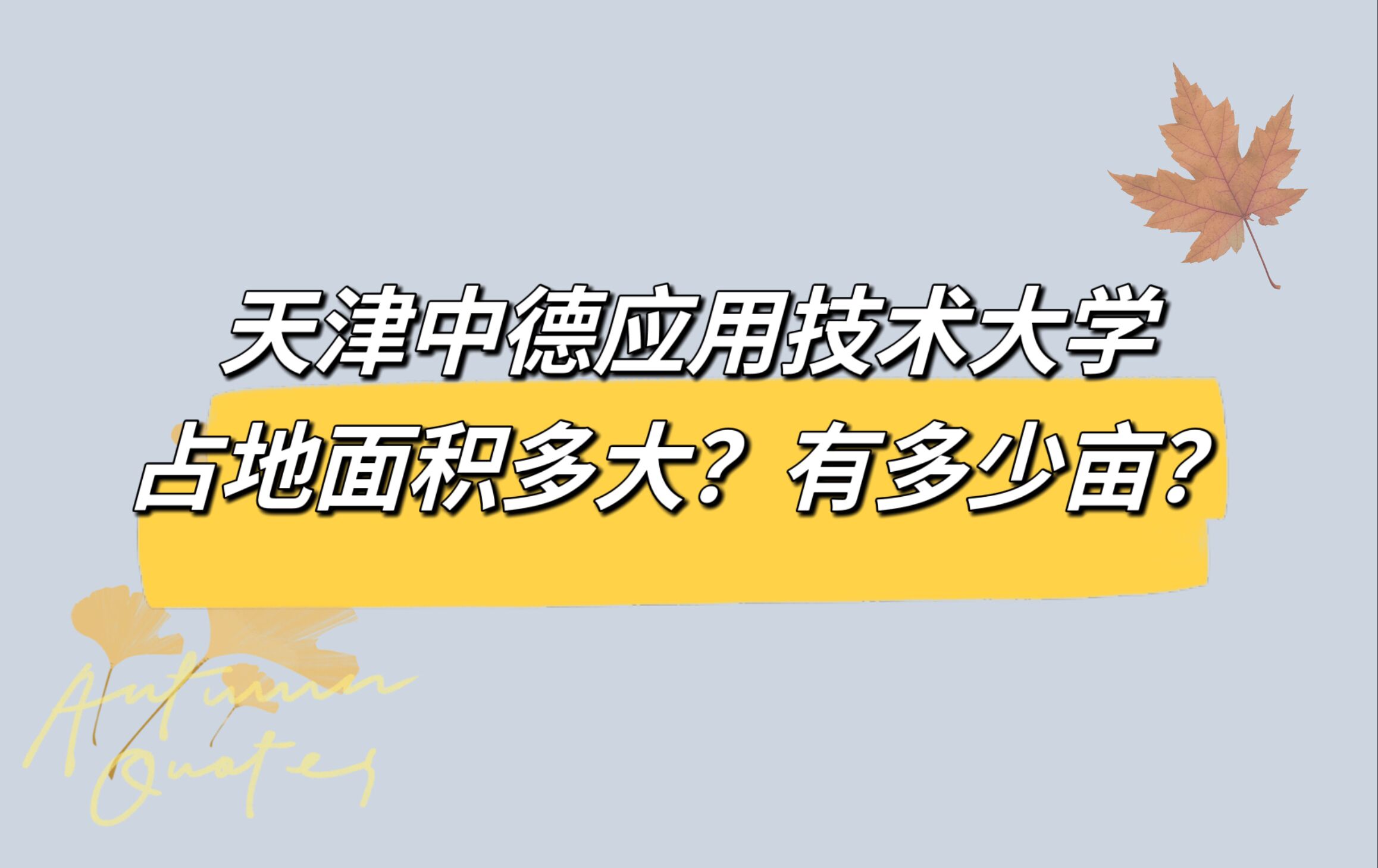 еӦüѧռжĶ
