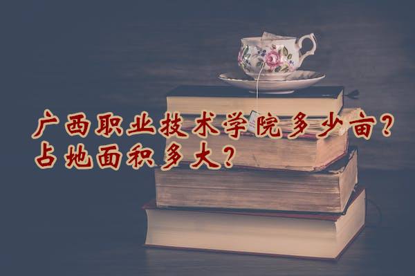 ����ְҵ����ѧԺ����Ķ��ռ��������