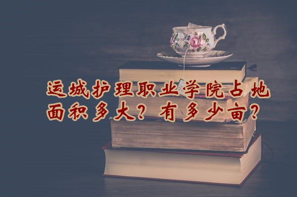 ˳ǻְҵѧԺռжĶ