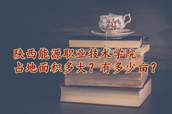 ԴְҵѧԺռжĶ