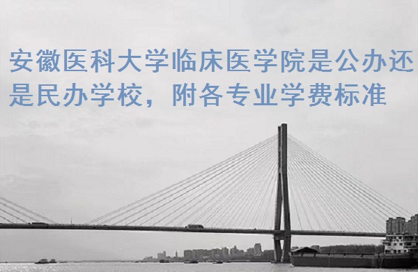 ҽƴѧٴҽѧԺǹ컹ѧУרҵѧѱ׼