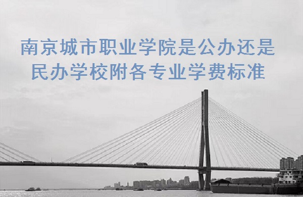ϾְҵѧԺǹ컹ѧУרҵѧѱ׼