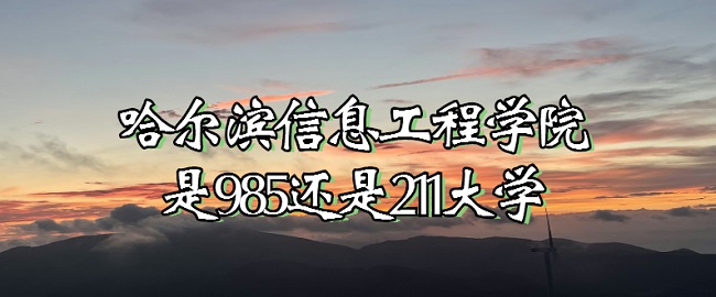 ϢѧԺ985211ѧ