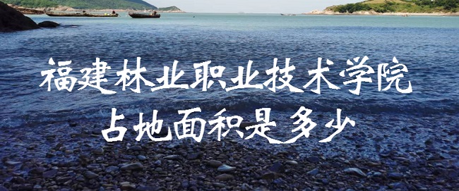 ҵְҵѧԺռǶ٣жĶ