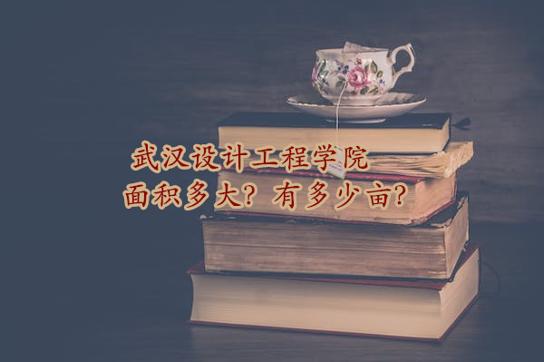 1666941685792383.jpg 武汉设计工程学院面积多大?有多少亩?