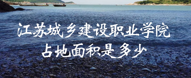 ճ罨ְҵѧԺռǶ٣жĶ